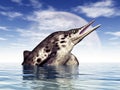 Ichthyosaur Stenopterygius Royalty Free Stock Photo