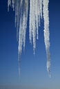 Icicle Royalty Free Stock Photo