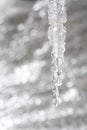 Icicle