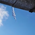 Icicle against blue sky and white cloud. Drop of melted snow drips. Closeup. Icicle hangs from rain gutter on roof. Square Royalty Free Stock Photo