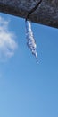 Icicle against blue sky and white cloud. Drop of melted snow falls down. Close up. Icicle hangs from rain gutter on roof. Vertical Royalty Free Stock Photo