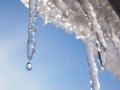 Icicle against light blue sky. Drop of melted snow falls down. Close up. Illustration about beginning of spring. Winter thaw. Royalty Free Stock Photo