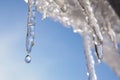 Icicle against light blue sky. Drop of melted snow falls down. Closeup. Illustration about end of winter or beginning of spring. Royalty Free Stock Photo