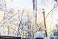 icicle on backyard of vilage house in winter