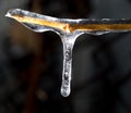 Icicle on a black background Royalty Free Stock Photo