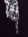 Icicle on a black background Royalty Free Stock Photo
