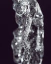 Icicle on a black background Royalty Free Stock Photo