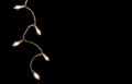 Icicle Christmas Lights Royalty Free Stock Photo