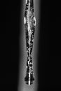 Icicle closeup with black and white background. Royalty Free Stock Photo