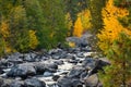 Icicle Creek flowing between boulders and past fall colors Royalty Free Stock Photo