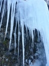 Icicle Curtain Royalty Free Stock Photo