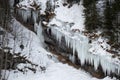 Icicle curtain in snowy landscape Royalty Free Stock Photo