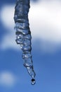 Icicle dripping Royalty Free Stock Photo