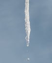 Icicle with falling drop melting in winter sun on blue sky Royalty Free Stock Photo