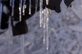 Icicle in front of blue background. The drop hanging from melting icicles on a bright spring day. Icicle and drop close-up.