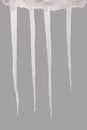 Icicle isolated on a grey Clipping path Royalty Free Stock Photo