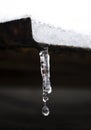 Icicle on the lid. A drop drips from icicles on the roof. Winter - icicles on the roofs. An icicle melts on the roof Royalty Free Stock Photo