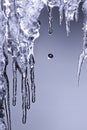 Icicle melting ice concept global warming