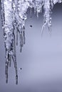 Icicle melting ice end of winter start of spring Royalty Free Stock Photo