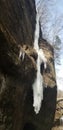 Icicle melting rocks