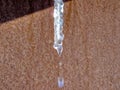 The icicle melts in the sunlight Royalty Free Stock Photo