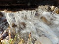 Icicle over stream Royalty Free Stock Photo