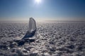 Icicle at snowy Baikal lake