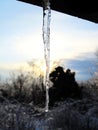 Icicle in the sunrise