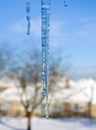 Icicles Royalty Free Stock Photo