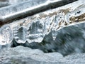 Icicles above forest stream Royalty Free Stock Photo