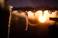 Icicles backed by a Colorful Winter Sunset Sky Royalty Free Stock Photo