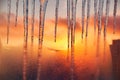 Icicles on the background of the blazing gold sunset. Royalty Free Stock Photo