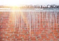 Icicles on a background of red brick wall Royalty Free Stock Photo