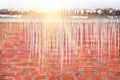 Icicles on a background of red brick wall Royalty Free Stock Photo