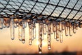 Icicles on the background of the sunset Royalty Free Stock Photo