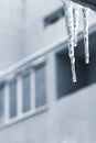 Icicles on the balcony, urban background. Winter season, transparent icicle on the window