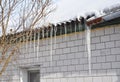 Icicles damage roof and gutter. Ice Damming. Royalty Free Stock Photo