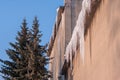 Icicles dangerously hanging from the roof of old house in the winter