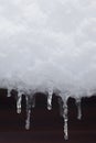 Icicles dripping from melting snow. Royalty Free Stock Photo