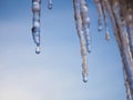 Icicles and a drop of melt water on a background of blue sky close-up. Snow melting. The beginning of spring and the warm season, Royalty Free Stock Photo