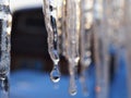 Icicles and a drop of melt water close-up. Snow melting. The beginning of the warm season, the end of winter. Bright illustration Royalty Free Stock Photo