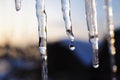 Icicles and a drop of meltwater in a rustic winter landscape in the sunset rays is a very close-up. Snow melting. The beginning of Royalty Free Stock Photo