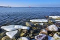 Icicles and frozen rocks on the Baltic Sea. Beautiful winter landscape Royalty Free Stock Photo