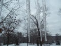 Icicles, frozen water, winter in arkansas