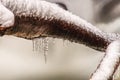 Icicles hang above freeze water of winter stream Royalty Free Stock Photo