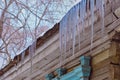 Icicles hang from the roof of a rural wooden house. The ends of the logs and a fragment of the blue trim of the window