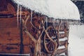 Icicles hang from the roof of a wooden house in the forest near the mountain ash