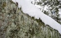 Icicles hang from a snow-covered boulder