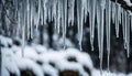 Icicles Hanging From a Branch in Winter Royalty Free Stock Photo