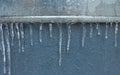 Icicles hanging down, dripping. Winter to spring. Shallow depth of field. pattern of ice crystal hanging un a peace of wood.